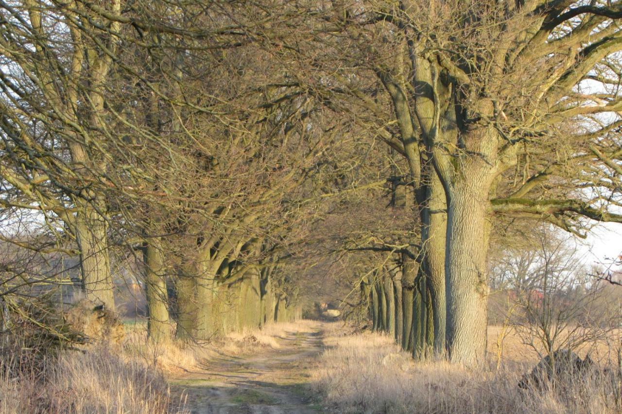 Radlerzimmer Strasen ภายนอก รูปภาพ